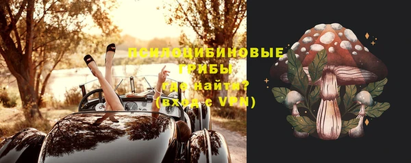прущие крисы Балахна