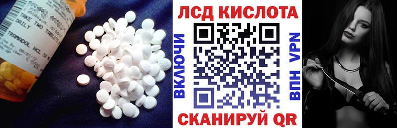 сколько стоит  Ершов  Лсд 25 экстази ecstasy 